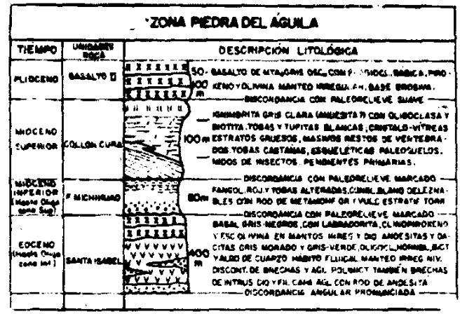 ANDICO DEL SECTOR SUR DE LA CUENCA NEUQUINA
